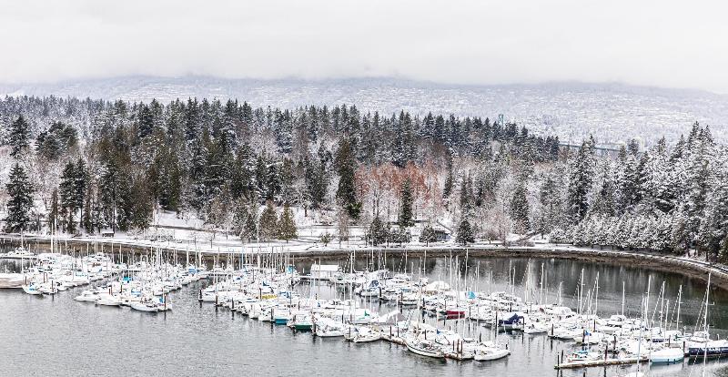 اتاق پرمیوم, The Westin Bayshore, Vancouver