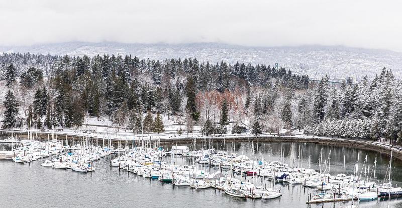 اتاق استاندارد با تخت بزرگ, The Westin Bayshore, Vancouver