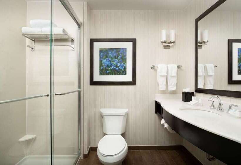 اتاق پرمیوم, Hilton Mississauga/meadowvale