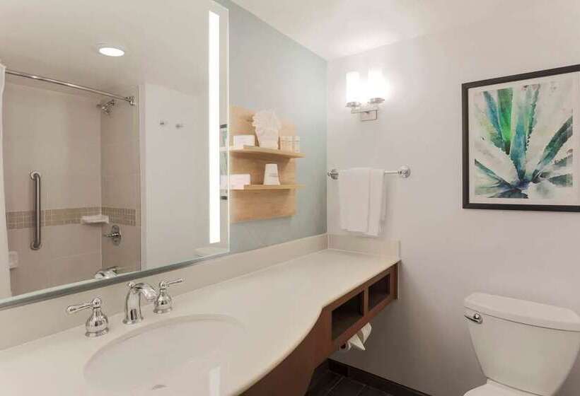 اتاق پرمیوم, Hilton Mississauga/meadowvale