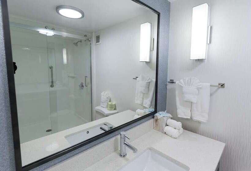 اتاق لوکس با تخت بزرگ, Hilton Mississauga/meadowvale