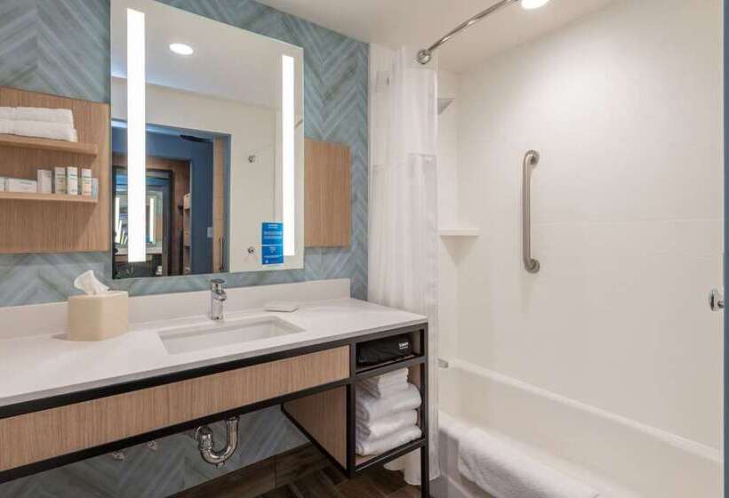 اتاق لوکس با تخت بزرگ, Hilton Mississauga/meadowvale
