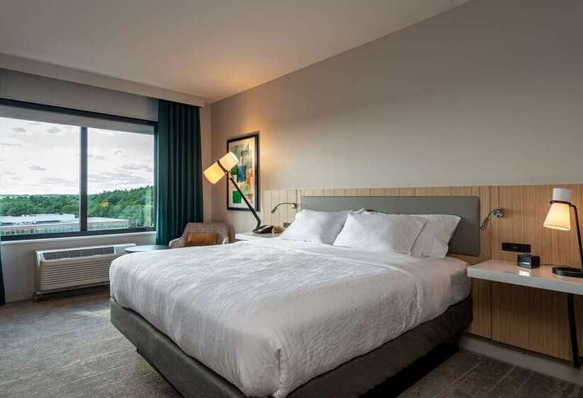 اتاق لوکس با تخت بزرگ, Hilton Mississauga/meadowvale