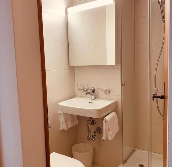 آپارتمان 1 خوابه با بالکن, Albana Hotel Silvaplana