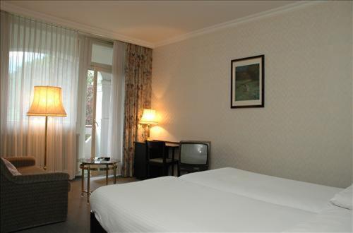 스탠다드 싱글 룸, Mattenhof Resort