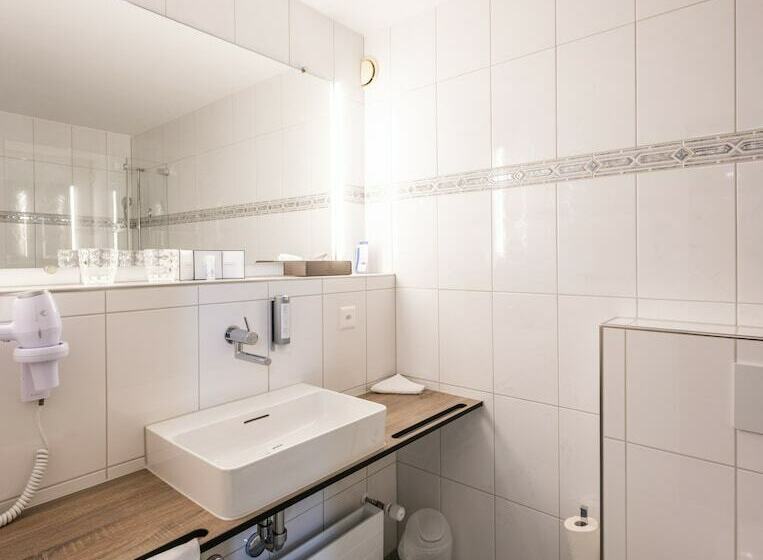 싱글 디럭스 룸, Metropole Swiss Quality
