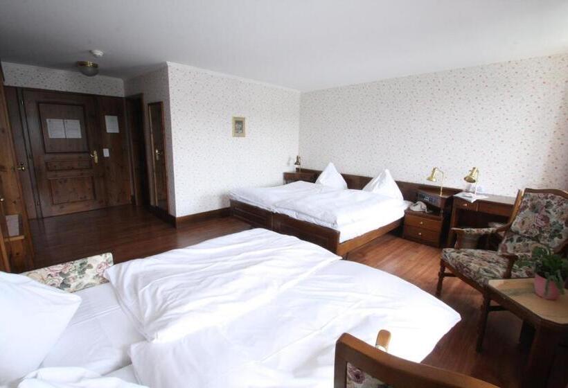 اتاق استاندارد چهار تخته, Rheinfels