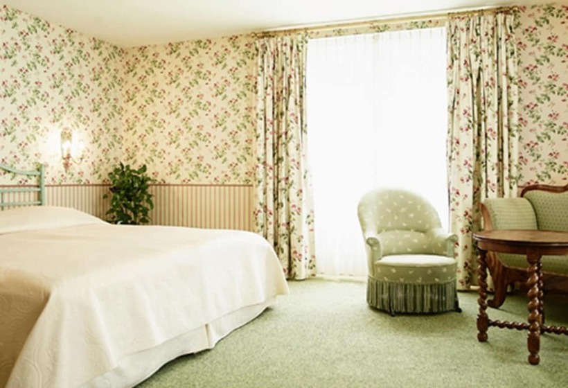 اتاق سوپریور, Romantik Hotel Wilden Mann Luzern