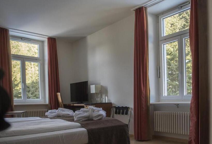 Номер Стандартный с Видом, Waldhotel & Spa Davos   For Body & Soul