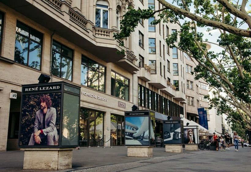 جناح جونيور, Bristol Berlin