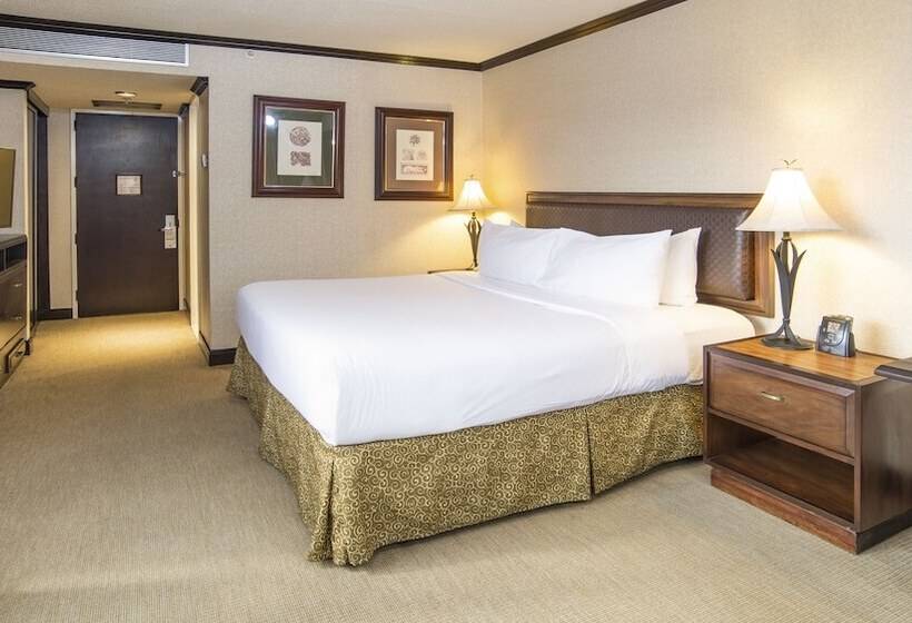 Standard Room Double Bed City View, Holiday Inn San Jose Aurola
