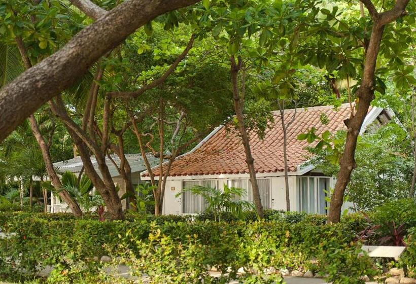בקתה סטנדרטית, Irotama Resort