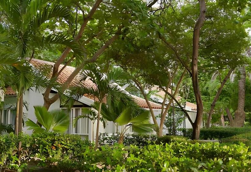 בקתה סטנדרטית, Irotama Resort