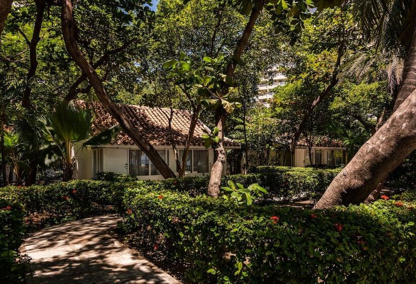בקתה סטנדרטית, Irotama Resort