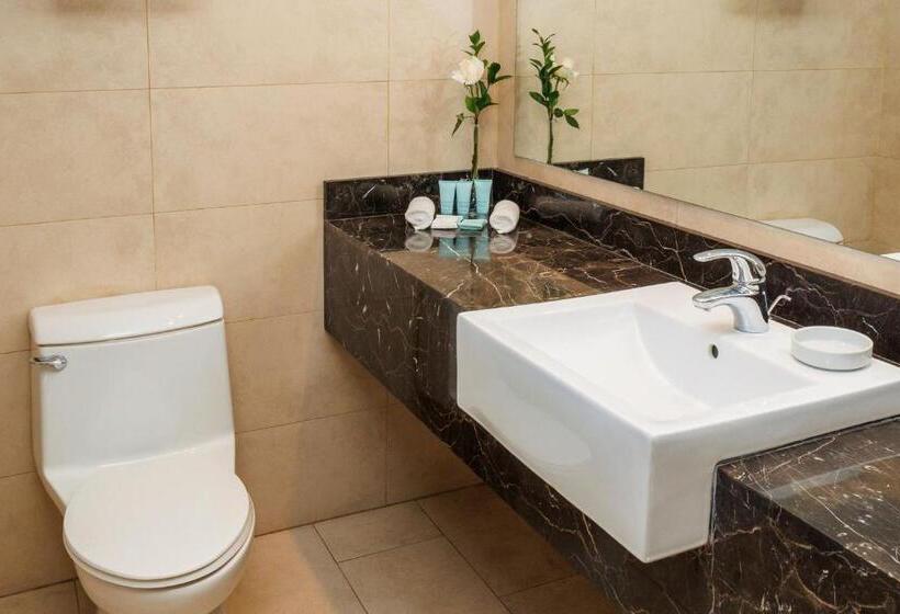 سوئیت با تخت بزرگ, Le Méridien Santiago By Marriott