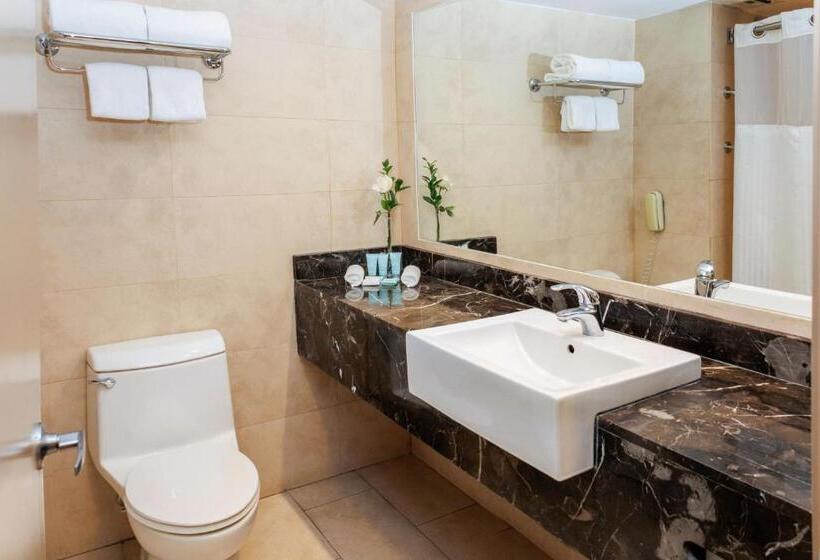 اتاق کلاسیک با چشم‌انداز شهر, Le Méridien Santiago By Marriott