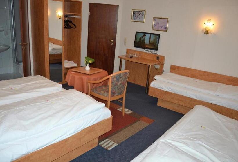اتاق استاندارد چهار تخته, Steens