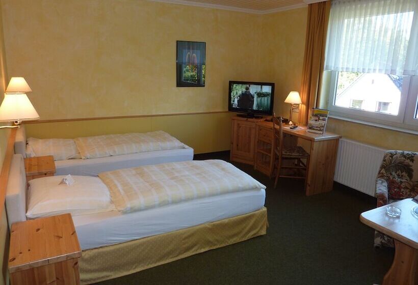 اتاق استاندارد, Akzent Hotel Zur Wasserburg   Hotel Garni Bed & Breakfast