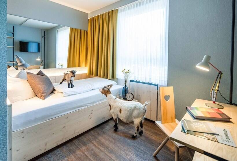 اتاق استاندارد یک نفره, Gartenhotel Fettehenne