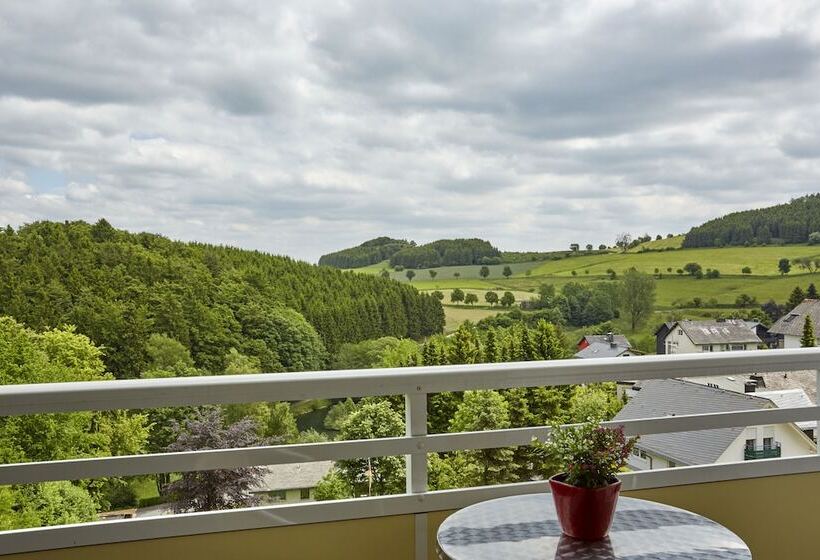 اتاق استاندارد با چشم‌انداز, H+ Hotel Willingen