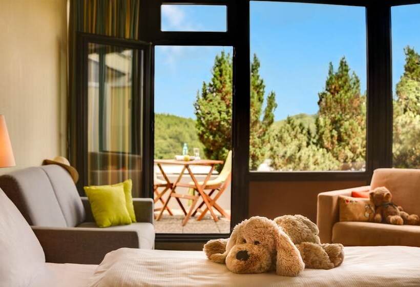 اتاق استاندارد با چشم‌انداز, H+ Hotel Willingen