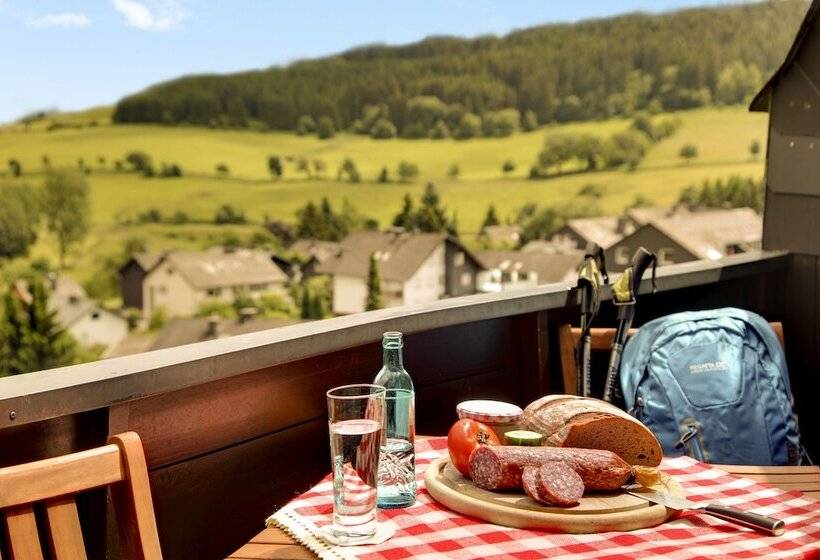 اتاق استاندارد با چشم‌انداز, H+ Hotel Willingen