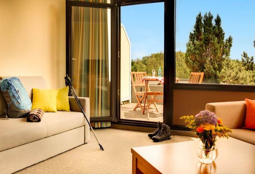 اتاق خانوادگی, H+ Hotel Willingen