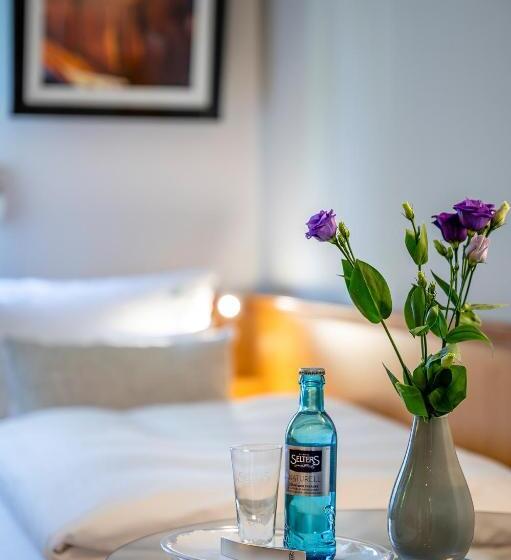 اتاق راحتی یک تخته, Insel Hotel Bonn   Superior