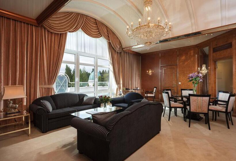 اتاق استاندارد, Maritim Hotel Bad Wildungen