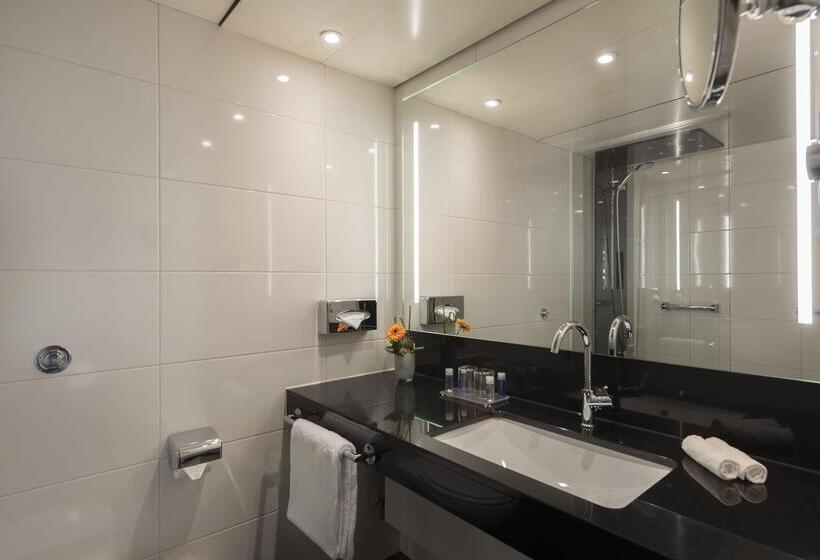 اتاق راحتی, Maritim Hotel Königswinter