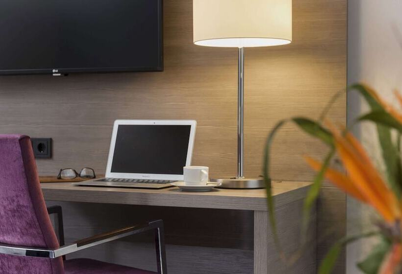 اتاق کلاسیک یک تخته, Maritim Hotel Königswinter