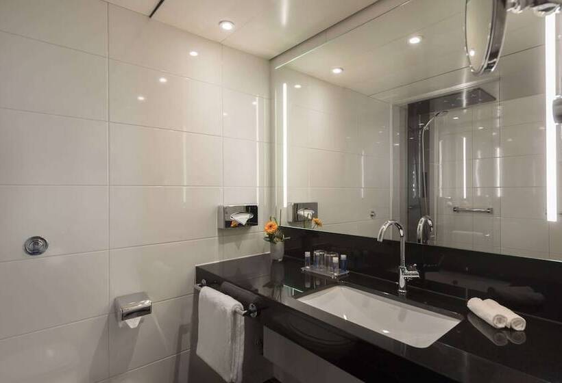 اتاق کلاسیک, Maritim Hotel Königswinter