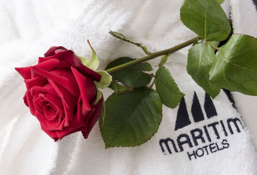 اتاق کلاسیک, Maritim Hotel Königswinter