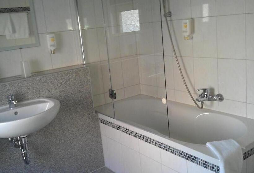 اتاق استاندارد یک نفره, Airport Hotel Filder Post