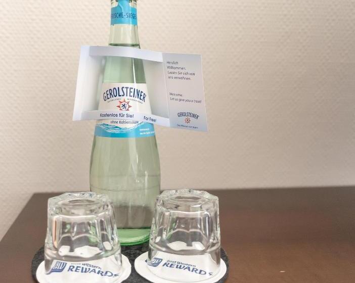 اتاق استاندارد, Best Western Hotel Trier City