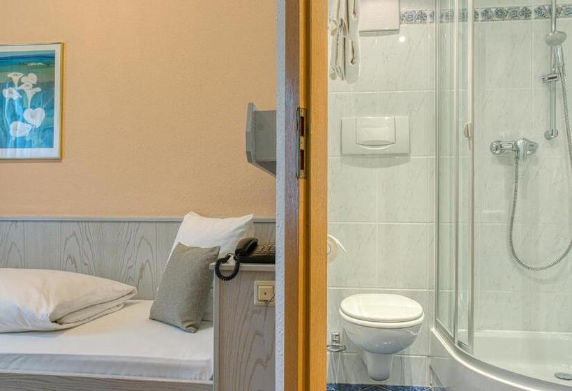 اتاق اکونومی یک تخته, Centro Hotel Sautter, Trademark Collection By Wyndham