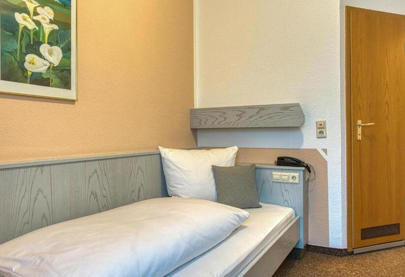 اتاق اکونومی یک تخته, Centro Hotel Sautter, Trademark Collection By Wyndham