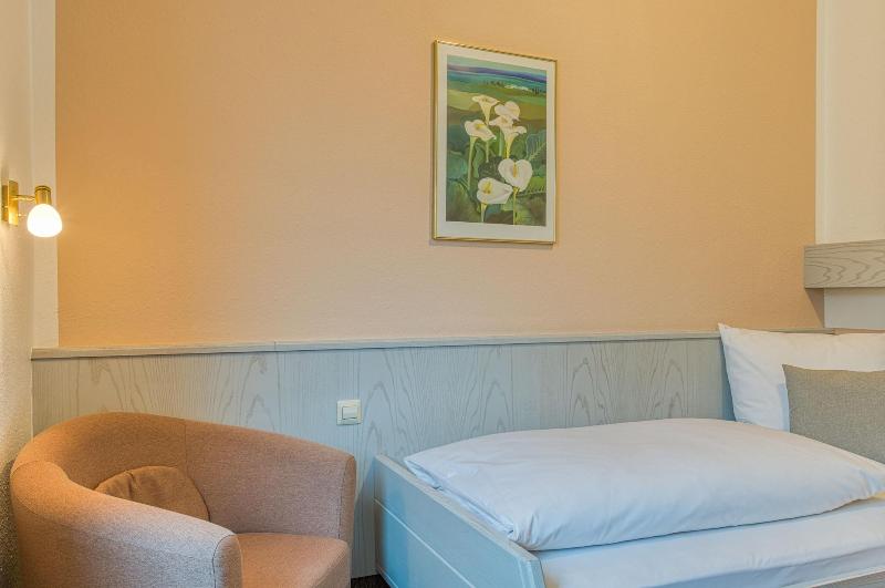 اتاق اکونومی یک تخته, Centro Hotel Sautter, Trademark Collection By Wyndham