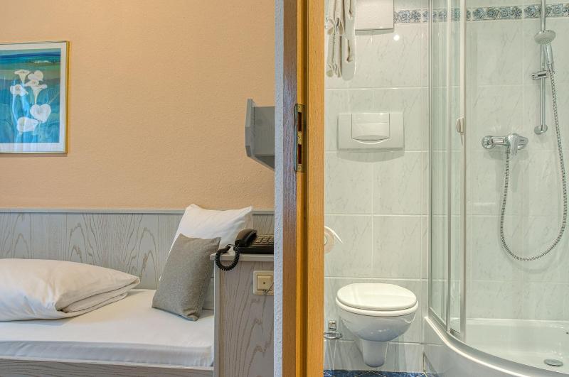 اتاق اکونومی یک تخته, Centro Hotel Sautter, Trademark Collection By Wyndham
