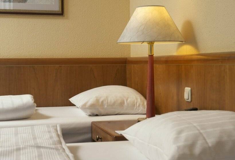 اتاق استاندارد سه نفره, Excelsior Ludwigshafen