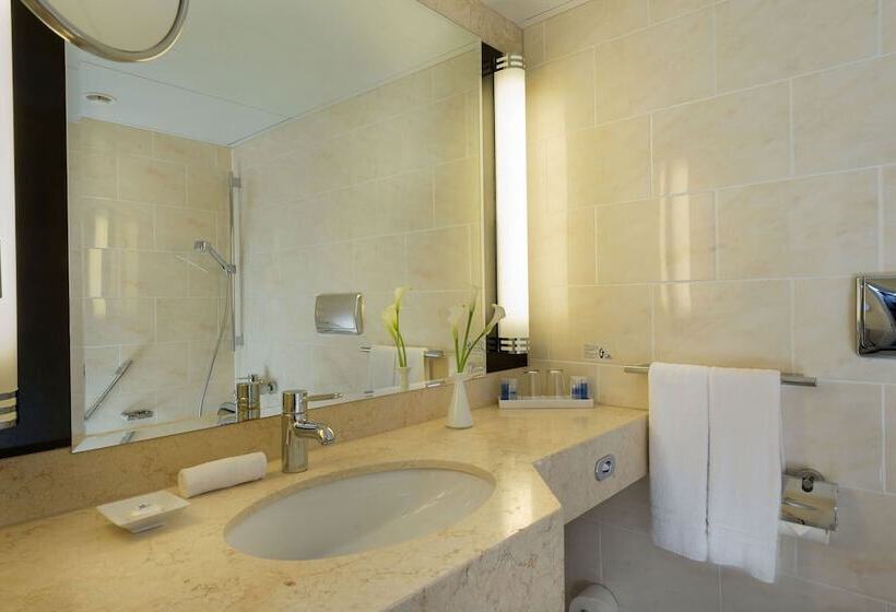 اتاق کلاسیک یک تخته, Maritim Hotel Am Schlossgarten