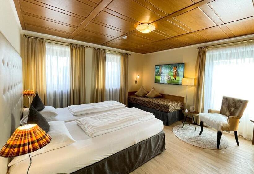 اتاق سوپریور یک تخته, City Hotel Ost Am Kö