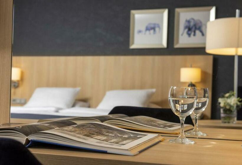 اتاق راحتی یک تخته, Maritim Hotel Würzburg