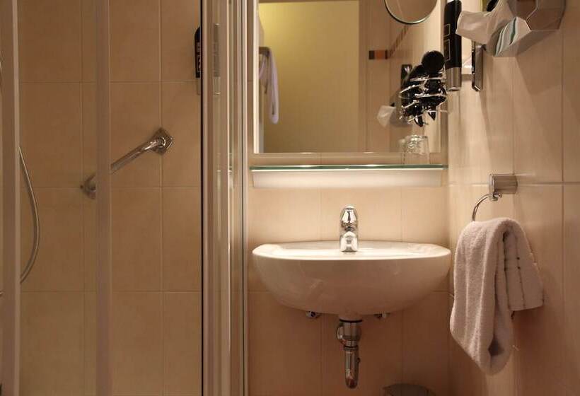 اتاق استاندارد یک نفره, Top Hotel Amberger