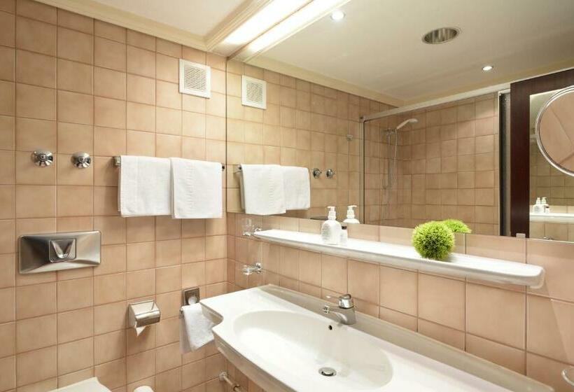 스탠다드 룸, Ringhotel Loew S Merkur