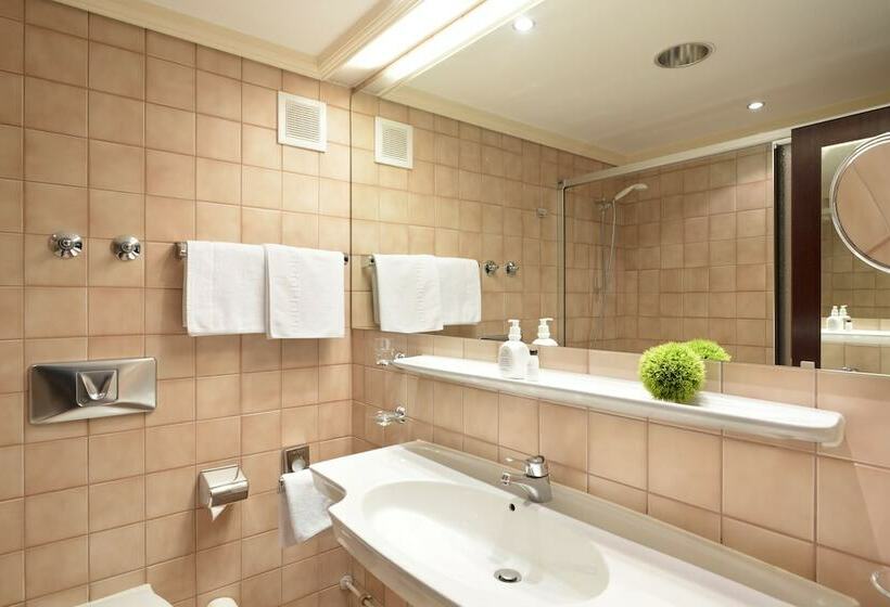 스탠다드 룸, Ringhotel Loew S Merkur