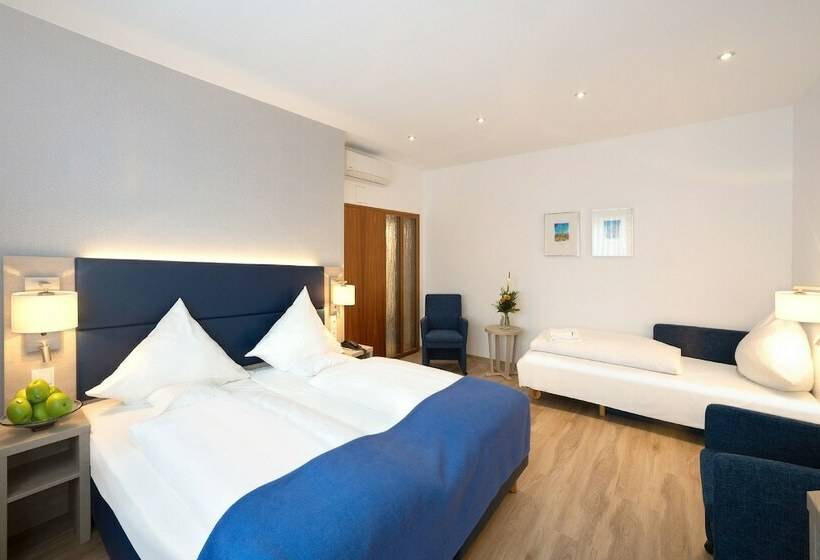스탠다드 트리플 룸, Ringhotel Loew S Merkur