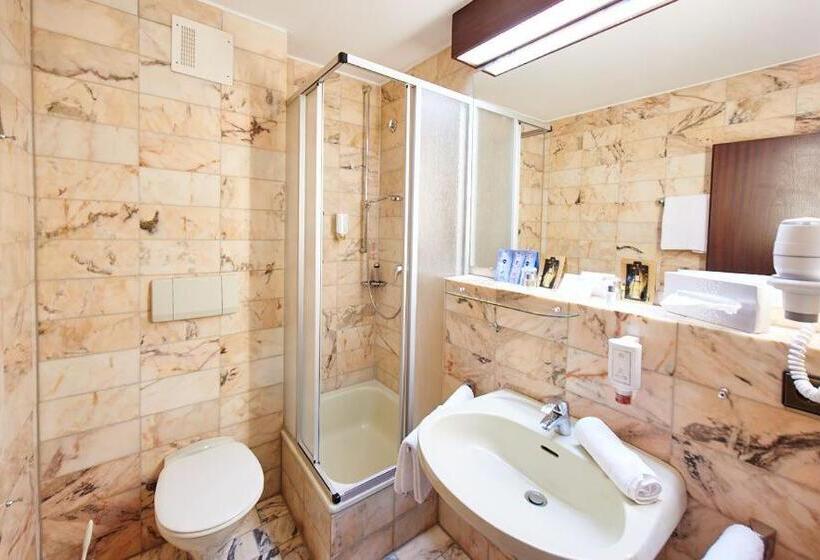 Standard Egyágyas Szoba, Wellnesshotel Wittelsbach