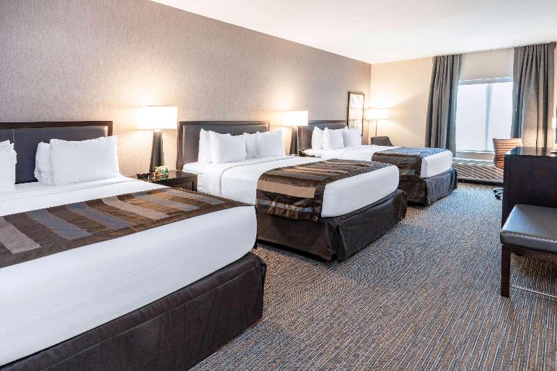 エクゼクティブルーム, Best Western Plus Hotel Eyde