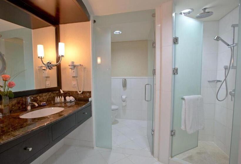 اتاق کلاسیک با تخت دونفره, Intercontinental Abu Dhabi, An Ihg